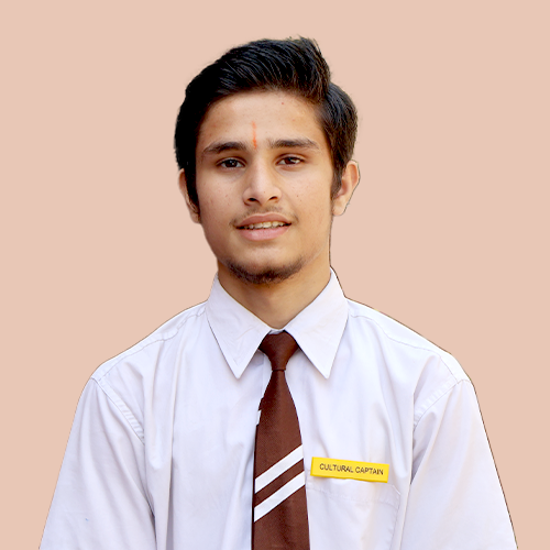Yellow House Captain